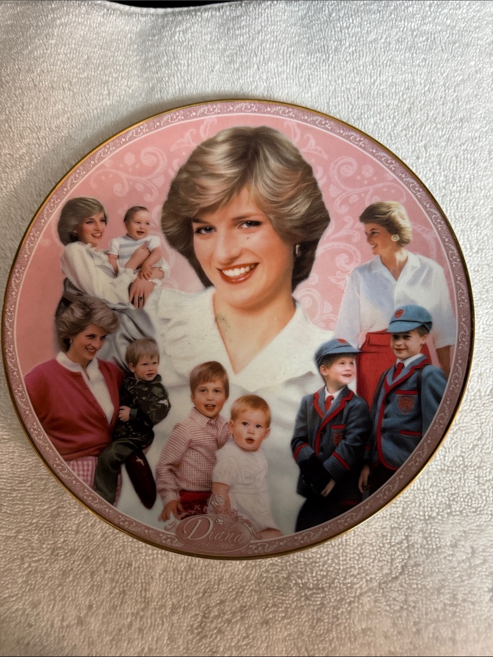 Royal Worcester Diana Royal Motherhood Collector Plate Danbury Mint #A3352